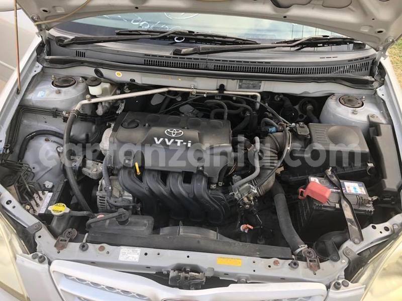 Big with watermark 50451942 1908026989326679 2806446590301044736 n