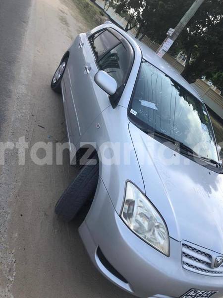 Big with watermark 49897926 1908026932660018 5414131169409105920 n