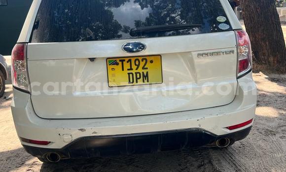 Buy Used Subaru Forester White Car in Dar es Salaam in Dar es Salaam Buy Used Subaru Forester White Car in Dar es Salaam in Dar es Salaam