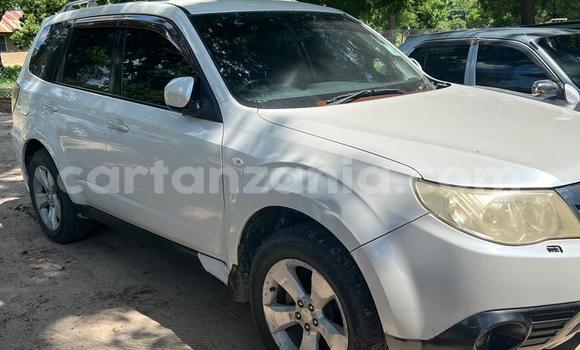 Buy Used Subaru Forester White Car in Dar es Salaam in Dar es Salaam Buy Used Subaru Forester White Car in Dar es Salaam in Dar es Salaam
