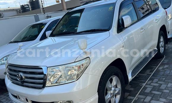 Buy Import Toyota Land Cruiser White Car in Dar es Salaam in Dar es Salaam Buy Import Toyota Land Cruiser White Car in Dar es Salaam in Dar es Salaam
