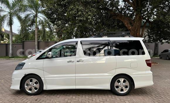 Nunua Ilio tumika Toyota Alphard Nyeupe Gari ndani ya Dar es Salaam nchini Dar es Salaam Nunua Ilio tumika Toyota Alphard Nyeupe Gari ndani ya Dar es Salaam nchini Dar es Salaam