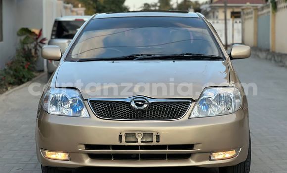 Nunua Ilio tumika Toyota Runx Nyingine Gari ndani ya Dar es Salaam nchini Dar es Salaam Nunua Ilio tumika Toyota Runx Nyingine Gari ndani ya Dar es Salaam nchini Dar es Salaam