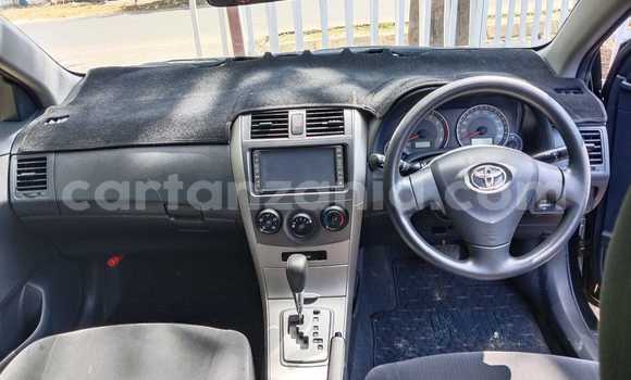 Buy New Toyota Corolla Beige Car in Dar es Salaam in Dar es Salaam Buy New Toyota Corolla Beige Car in Dar es Salaam in Dar es Salaam