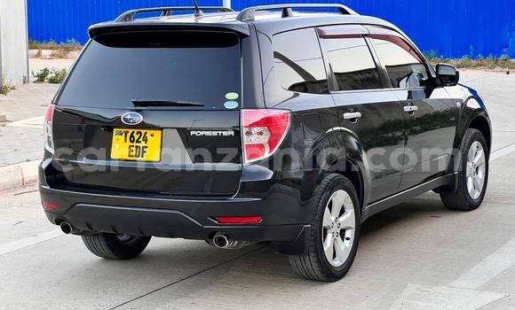 Buy Used Subaru Forester Black Car in Dar es Salaam in Dar es Salaam Buy Used Subaru Forester Black Car in Dar es Salaam in Dar es Salaam