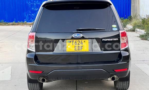 Buy Used Subaru Forester Black Car in Dar es Salaam in Dar es Salaam Buy Used Subaru Forester Black Car in Dar es Salaam in Dar es Salaam