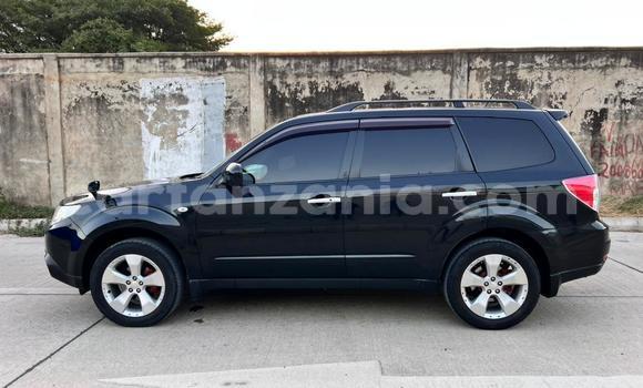Buy Used Subaru Forester Black Car in Dar es Salaam in Dar es Salaam Buy Used Subaru Forester Black Car in Dar es Salaam in Dar es Salaam