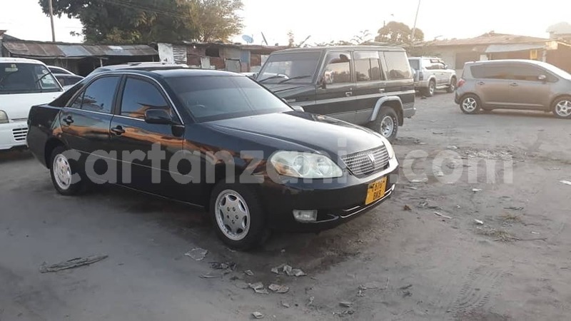 Big with watermark 50091255 2359308860806334 7468266387585105920 n