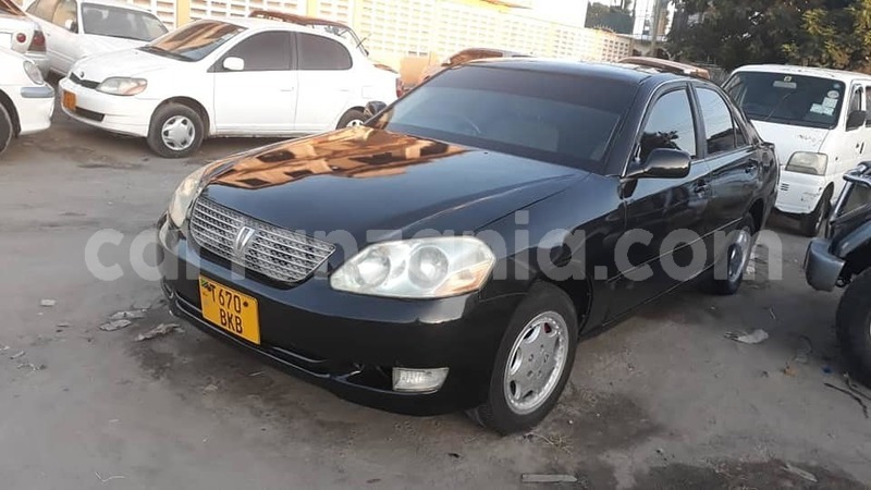 Big with watermark 50911450 2359308834139670 7453514811305885696 n