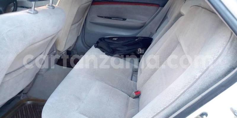 Big with watermark 50231571 2355474704523083 2207125097175580672 n