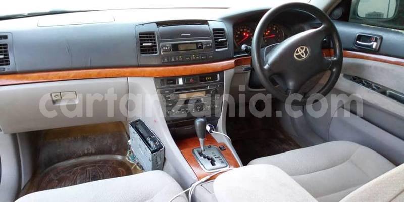 Big with watermark 50785264 2355474671189753 7793780777832939520 n