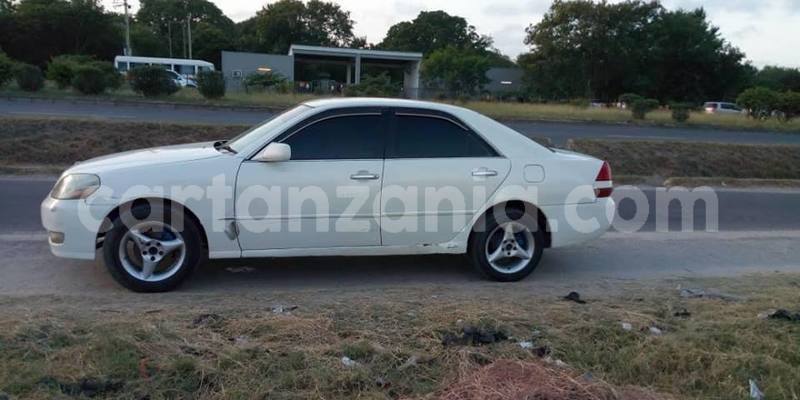 Big with watermark 50011319 2355474631189757 6409117990578552832 n