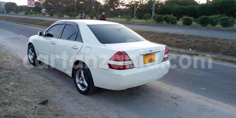 Big with watermark 50556221 2355474587856428 8805448002144567296 n