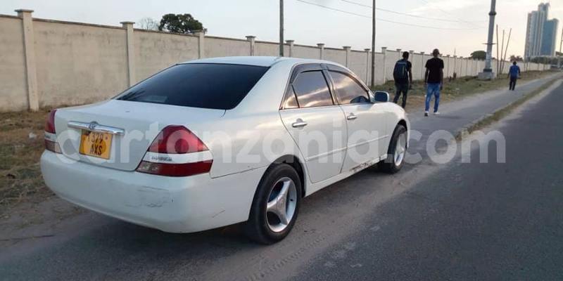 Big with watermark 50720486 2355474414523112 6410250569159540736 n