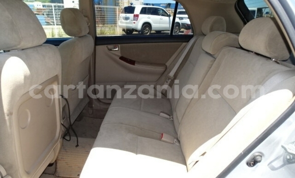 Buy Import Toyota Allex Silver Car in Dar es Salaam in Dar es Salaam Buy Import Toyota Allex Silver Car in Dar es Salaam in Dar es Salaam