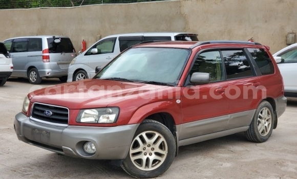 Buy Import Subaru Forester Red Car in Dar es Salaam in Dar es Salaam Buy Import Subaru Forester Red Car in Dar es Salaam in Dar es Salaam