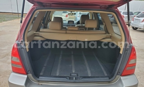 Buy Import Subaru Forester Red Car in Dar es Salaam in Dar es Salaam Buy Import Subaru Forester Red Car in Dar es Salaam in Dar es Salaam
