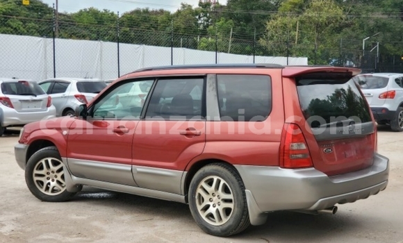 Buy Import Subaru Forester Red Car in Dar es Salaam in Dar es Salaam Buy Import Subaru Forester Red Car in Dar es Salaam in Dar es Salaam