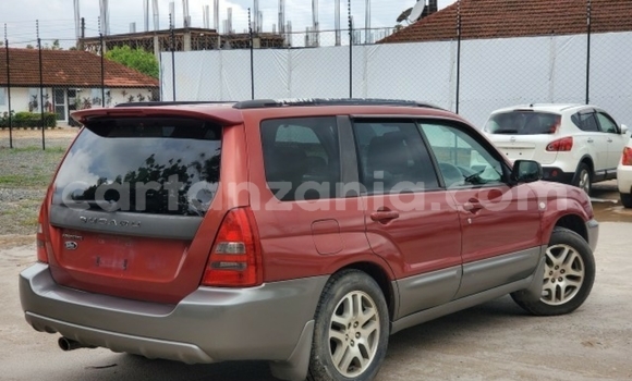 Buy Import Subaru Forester Red Car in Dar es Salaam in Dar es Salaam Buy Import Subaru Forester Red Car in Dar es Salaam in Dar es Salaam