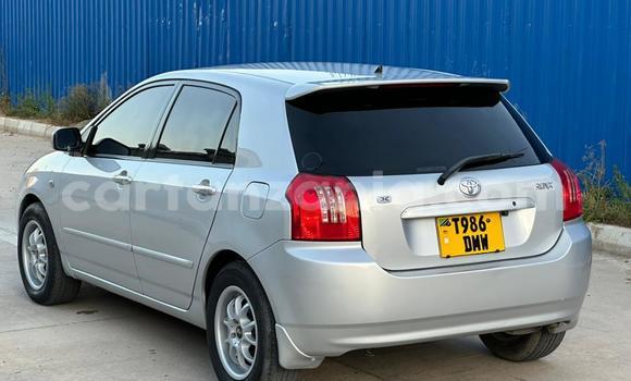 Nunua Ilio tumika Toyota Allex Fedha Gari ndani ya Dar es Salaam nchini Dar es Salaam Nunua Ilio tumika Toyota Allex Fedha Gari ndani ya Dar es Salaam nchini Dar es Salaam