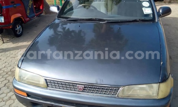Nunua Ilio tumika Toyota Corolla Nyingine Gari ndani ya Dar es Salaam nchini Dar es Salaam Nunua Ilio tumika Toyota Corolla Nyingine Gari ndani ya Dar es Salaam nchini Dar es Salaam