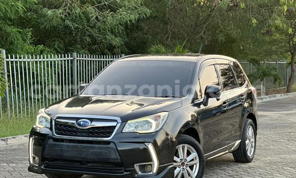 Buy Import Subaru Forester Black Car in Dar es Salaam in Dar es Salaam Buy Import Subaru Forester Black Car in Dar es Salaam in Dar es Salaam