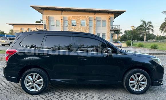 Buy Import Subaru Forester Black Car in Dar es Salaam in Dar es Salaam Buy Import Subaru Forester Black Car in Dar es Salaam in Dar es Salaam