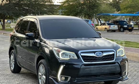 Buy Import Subaru Forester Black Car in Dar es Salaam in Dar es Salaam Buy Import Subaru Forester Black Car in Dar es Salaam in Dar es Salaam