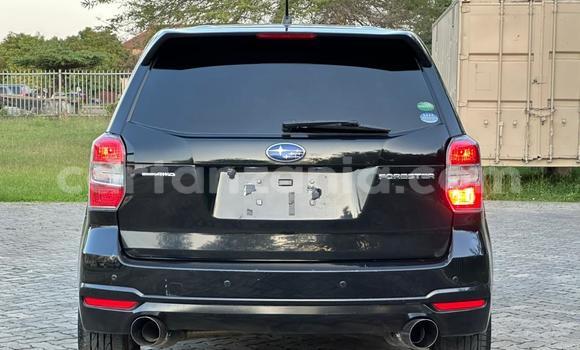Buy Import Subaru Forester Black Car in Dar es Salaam in Dar es Salaam Buy Import Subaru Forester Black Car in Dar es Salaam in Dar es Salaam