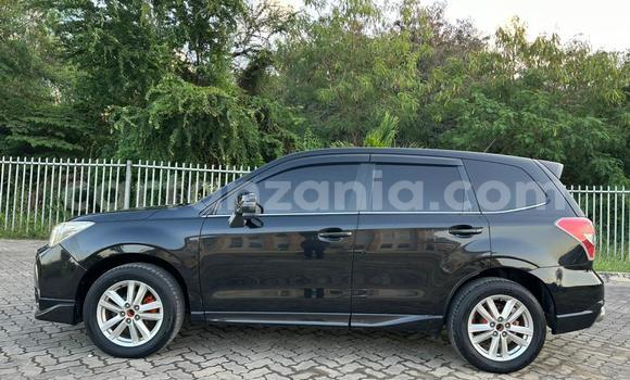 Buy Import Subaru Forester Black Car in Dar es Salaam in Dar es Salaam Buy Import Subaru Forester Black Car in Dar es Salaam in Dar es Salaam