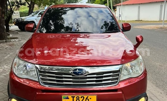 Buy Used Subaru Forester Red Car in Dodoma in Dodoma Buy Used Subaru Forester Red Car in Dodoma in Dodoma