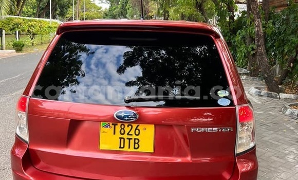 Buy Used Subaru Forester Red Car in Dodoma in Dodoma Buy Used Subaru Forester Red Car in Dodoma in Dodoma