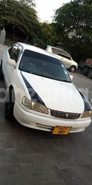 Big with watermark 50309955 1262052293935690 200321423623847936 n