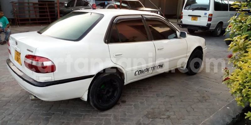 Big with watermark 50748118 1262052320602354 4763408413923213312 o