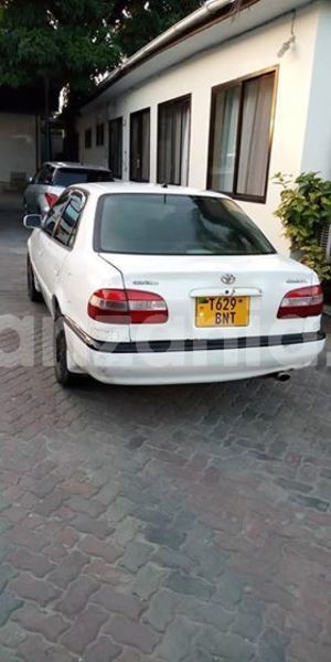 Big with watermark 51124268 1262052400602346 6031570604115623936 n