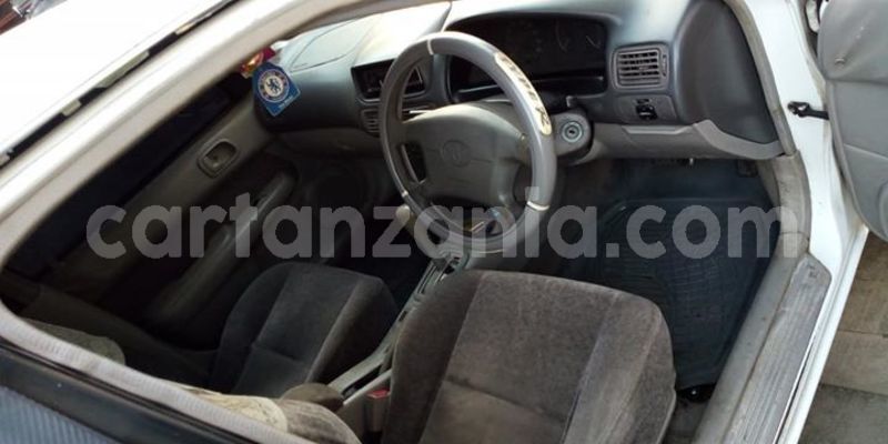 Big with watermark 51319420 1262052500602336 2464505294470774784 o