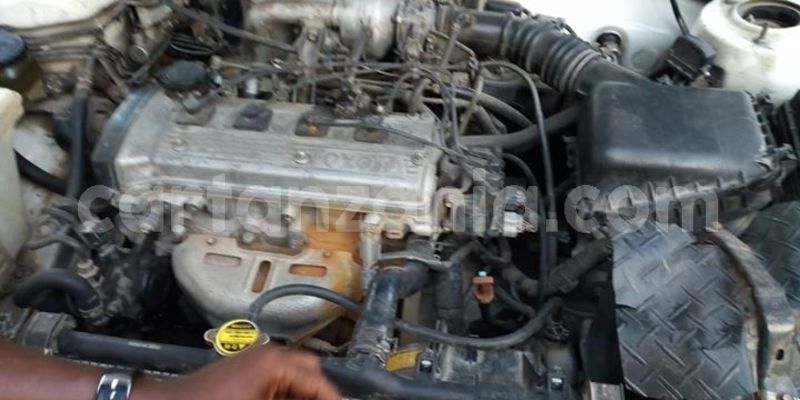 Big with watermark 50620439 1262052630602323 5515724789685157888 o