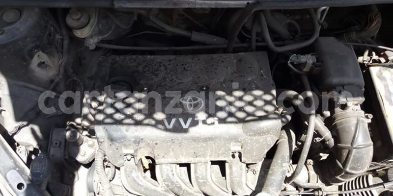 Big with watermark 50830627 1261164264024493 2644979313442553856 o