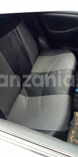 Big with watermark 50872983 1261163894024530 2629199144035549184 n