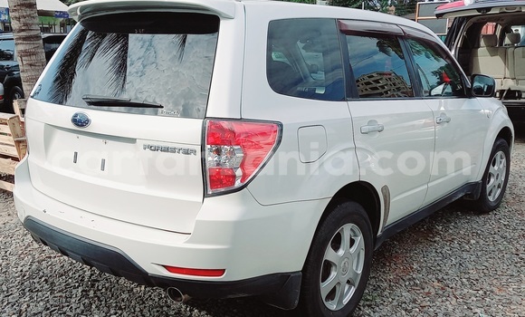 Buy Import Subaru Forester Silver Car in Dar es Salaam in Dar es Salaam Buy Import Subaru Forester Silver Car in Dar es Salaam in Dar es Salaam