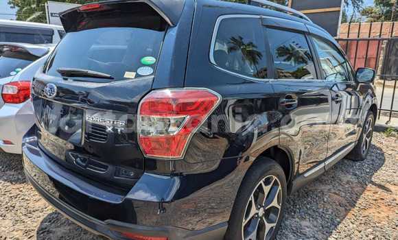Buy Import Subaru Forester Blue Car in Dar es Salaam in Dar es Salaam Buy Import Subaru Forester Blue Car in Dar es Salaam in Dar es Salaam