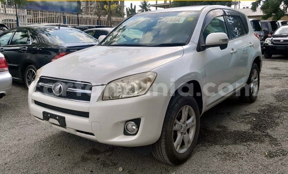 Buy New Toyota RAV4 White Car in Dar es Salaam in Dar es Salaam
