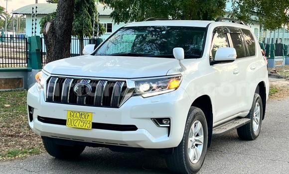 Buy Import Toyota Land Cruiser Prado White Car in Dar es Salaam in Dar es Salaam