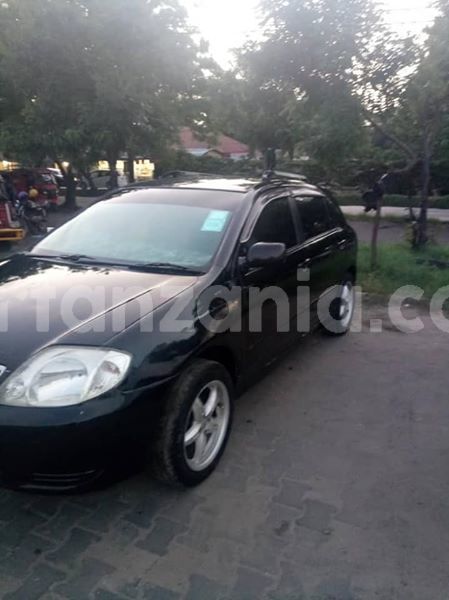 Big with watermark 51200758 194102048213807 2462173621150285824 n