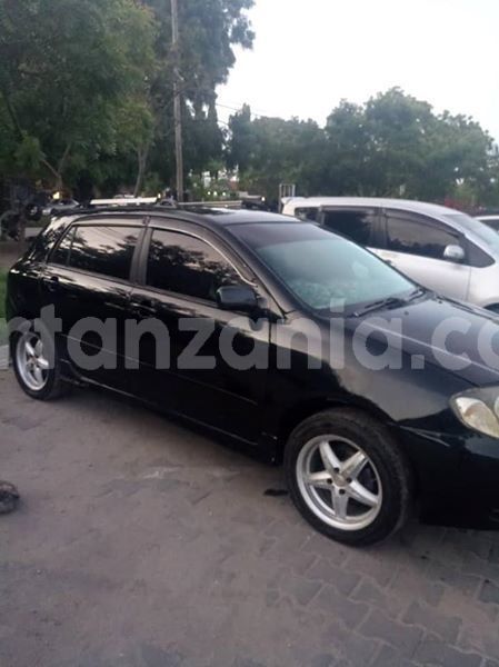 Big with watermark 50750963 194102014880477 7099368064528941056 n