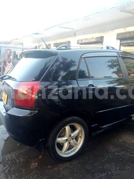 Big with watermark 51152181 194102001547145 5335485224388132864 n