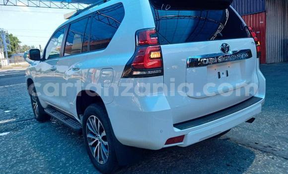 Nunua Imported Toyota Land Cruiser Prado Nyeupe Gari ndani ya Dar es Salaam nchini Dar es Salaam Nunua Imported Toyota Land Cruiser Prado Nyeupe Gari ndani ya Dar es Salaam nchini Dar es Salaam