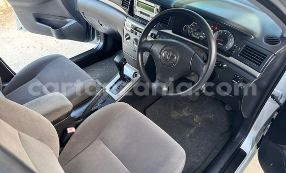 Buy Used Toyota Allex Silver Car in Dar es Salaam in Dar es Salaam Buy Used Toyota Allex Silver Car in Dar es Salaam in Dar es Salaam