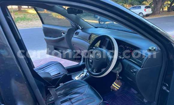 Buy Used Toyota Runx Black Car in Dodoma in Dodoma Buy Used Toyota Runx Black Car in Dodoma in Dodoma