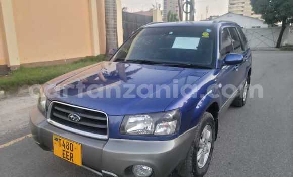Nunua Ilio tumika Subaru Forester Bluu Gari ndani ya Ilala nchini Dar es Salaam Nunua Ilio tumika Subaru Forester Bluu Gari ndani ya Ilala nchini Dar es Salaam